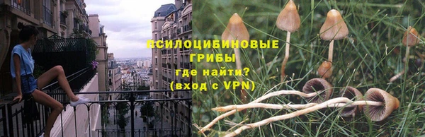кокаин премиум Бородино