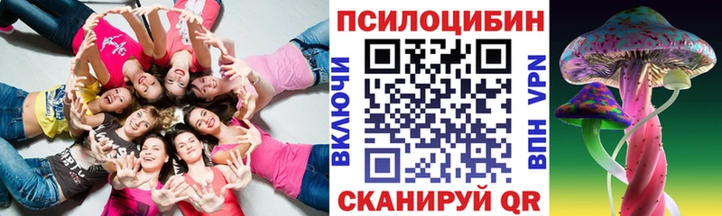 где можно купить Киренск Галлюциногенные грибы MAGIC MUSHROOMS